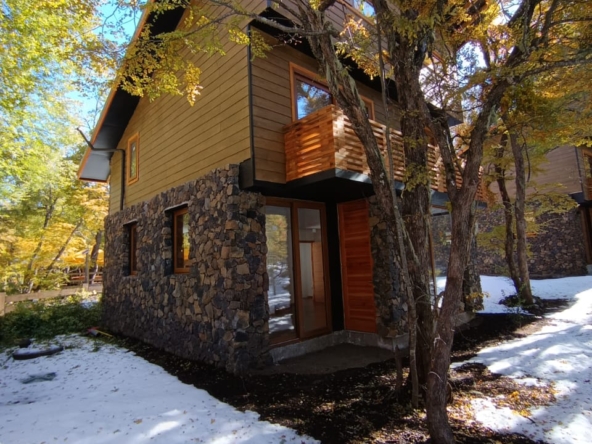 PANGUE PROPIEDADES - CASA CHILL IN (2)