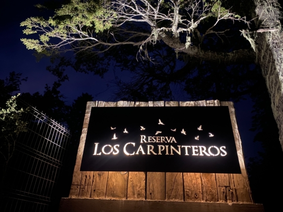 Reserva Los Carpinteros – Las Trancas