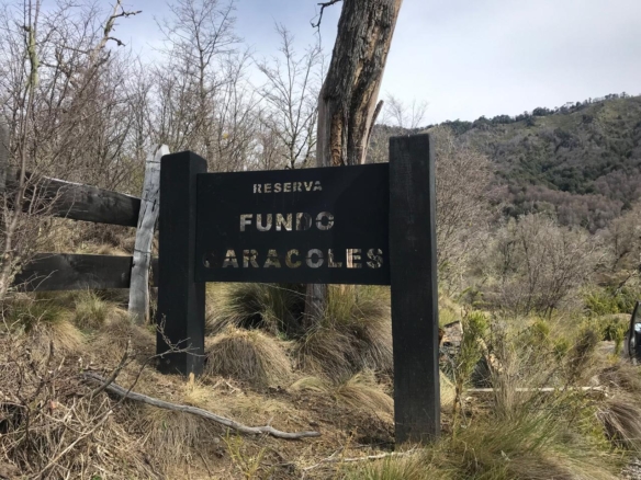 Reserva Fundo Caracoles – Malalcahuello