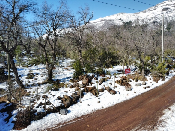 Sitio calle Los Peumos – Las Trancas