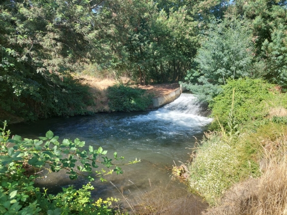 Parcelas Campanario – Cholguán